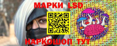 мдма Кингисепп