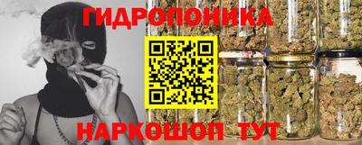 мдма Кингисепп