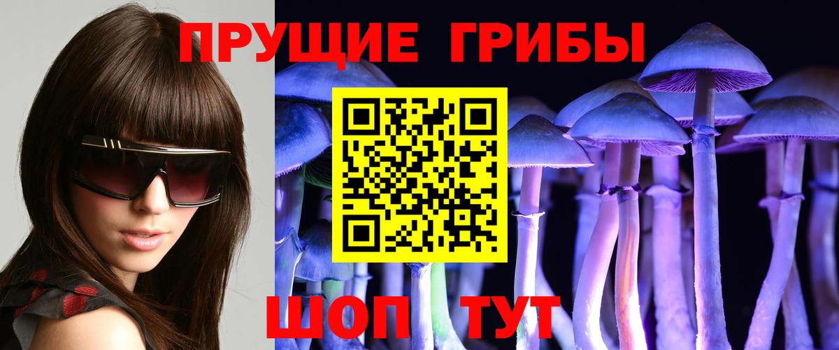 Псилоцибиновые грибы мухоморы Биробиджан